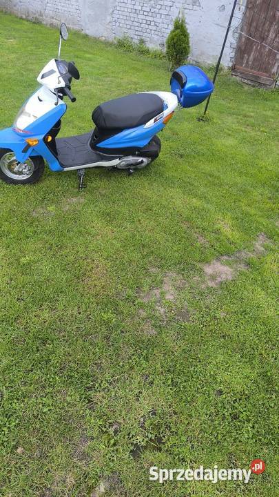 Zipp otis dobrze jeździ oc i przegląd wazne 50cm3 Tarnowo Podgórne