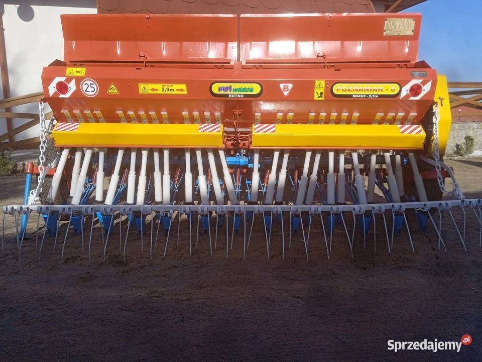 Siewnik poznaniak Świedziebnia