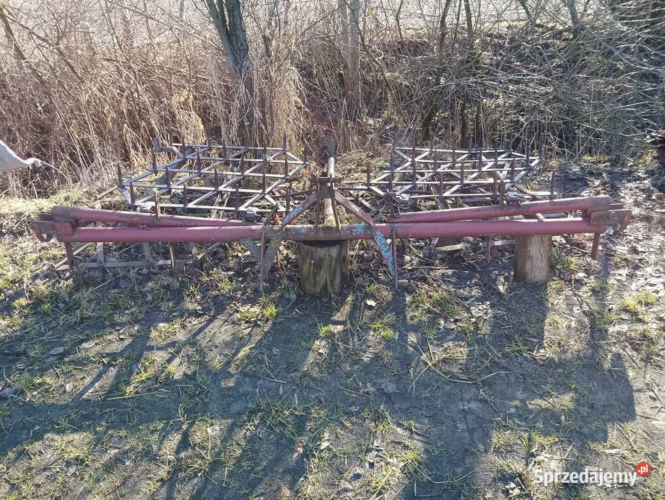 Brony 5 polowe Milicz