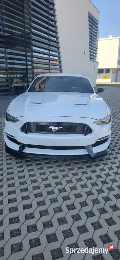 Ford Mustang 23 Performance Package Premium Krosno
