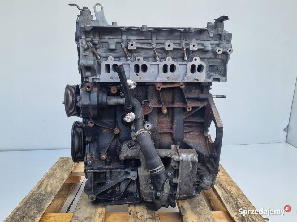 SILNIK PRZEGLĄDZIE Nissan Qashqai 20 DCI nowy Janów