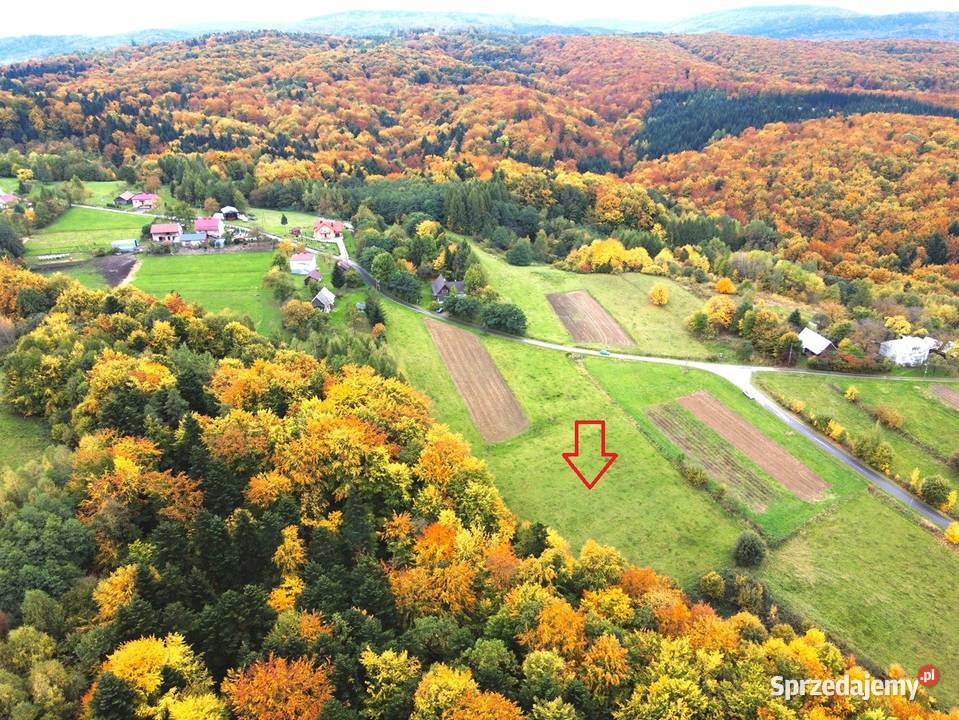 Sprzedam działkę Łęki Dukielskie