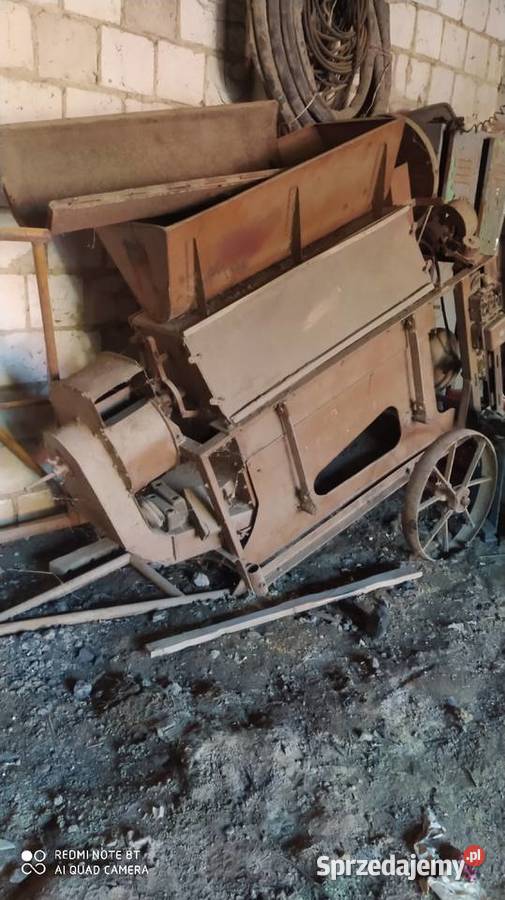 Sprzedam bukownik Bukowina