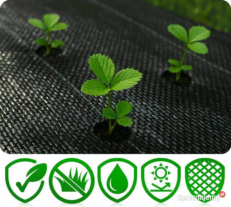AGROTKANINA 90G NA CHWASTY UV GRUBA CZARNA MOCNA Wrociszów Dolny sprzedam