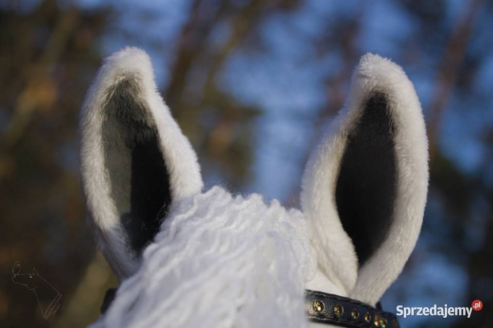 Hobby horse siwy biały konik na patyku zabawka Lublin