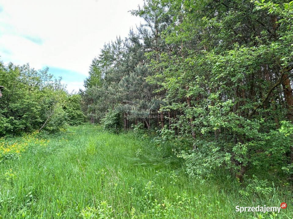 Działka Siedliskowa w Ruskowie 2791m2 budowlana Rusków