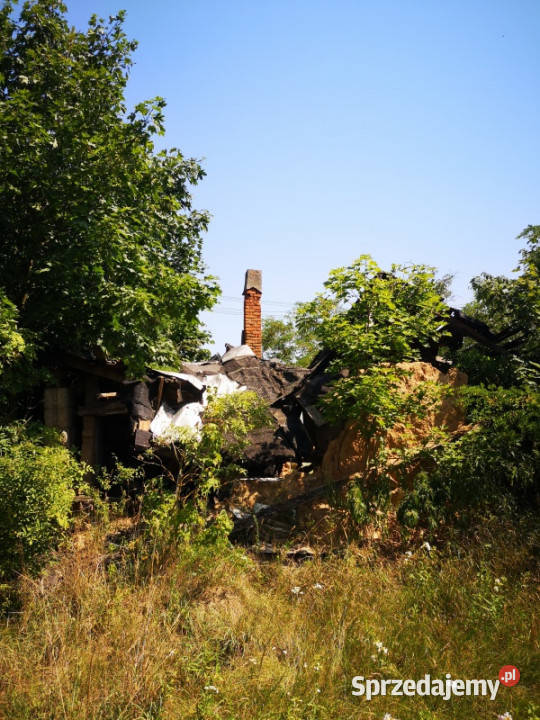 Sprzedam bezpośrednio działkę 5700m2 w otoczeniu kujawsko-pomorskie Teodorowo