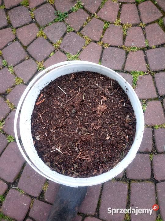 Obornik nawóz Częstochowa