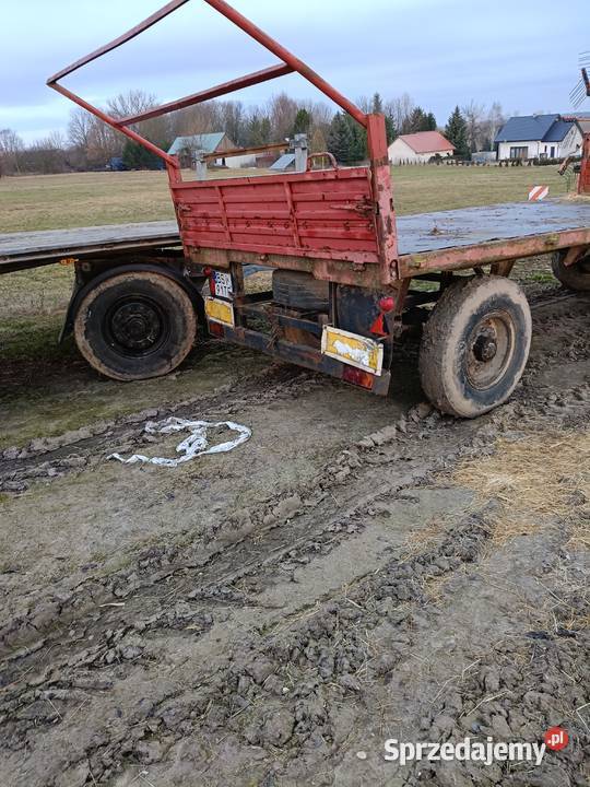 Przyczepa laweta do bel nieuszkodzony Lisowo sprzedam