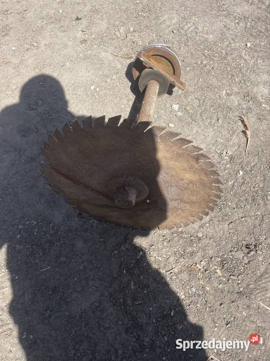 Trajzega Skierniewice