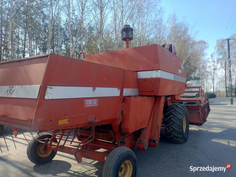 Massey Ferguson 487 Massey Ferguson Przasnysz sprzedam