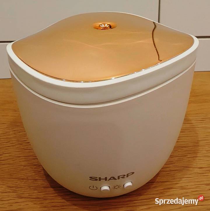 Aromatyzer Sharp DFA1 Toruń sprzedam