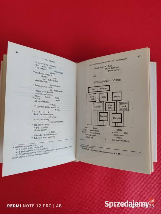 T Czyżewski Poezje i próby dramatyczne twarda z obwolutą Katowice