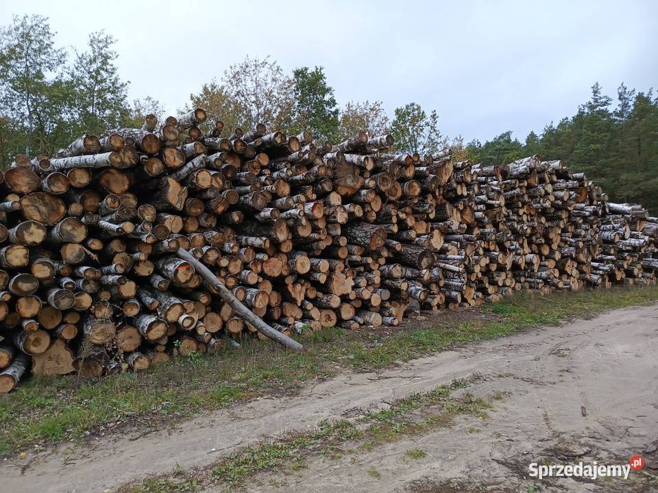 Drewno kominkowe Opał Transport Hurt Płońsk