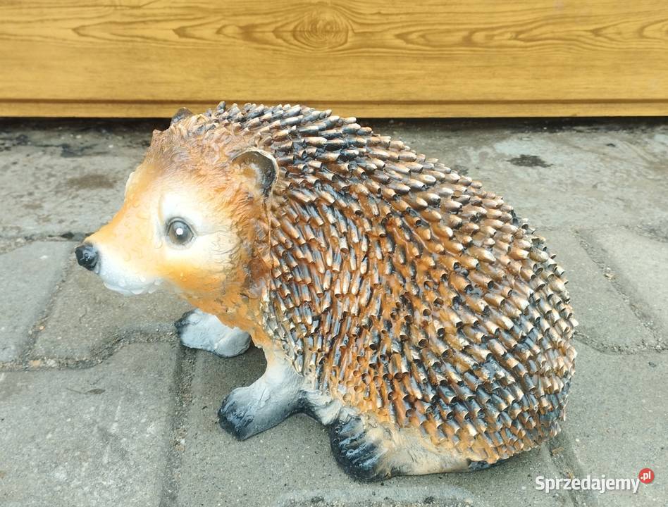 Figurka ogrodowa Jeż Jeżyk z masy żywicznej wielkopolskie Szamotuły