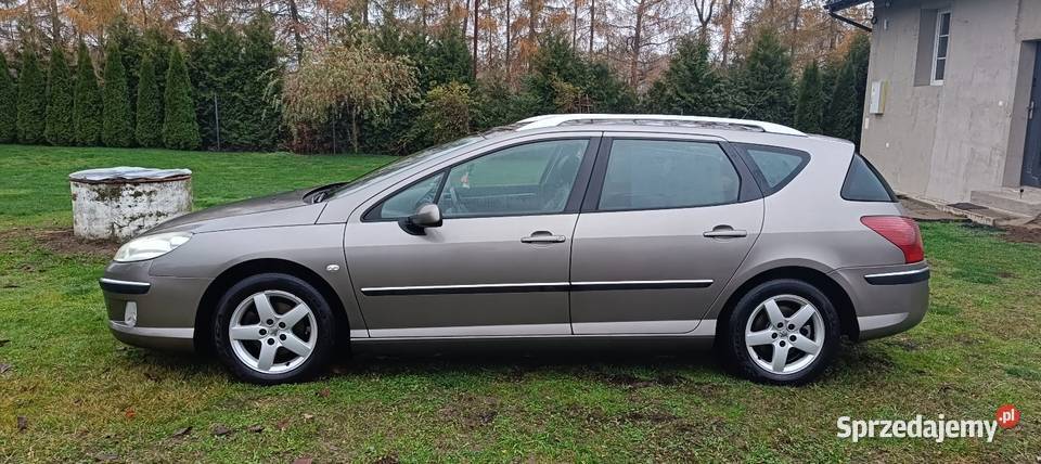 Peugeot 407 20 HDi Niezabitów-Kolonia