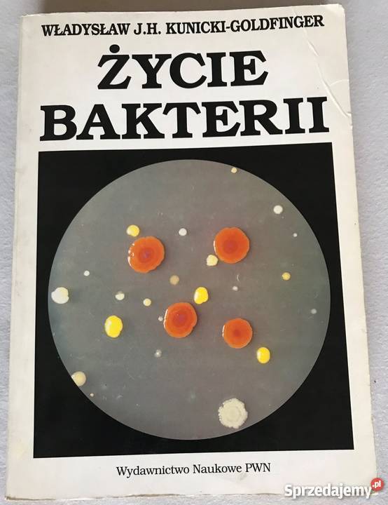 Życie bakterii