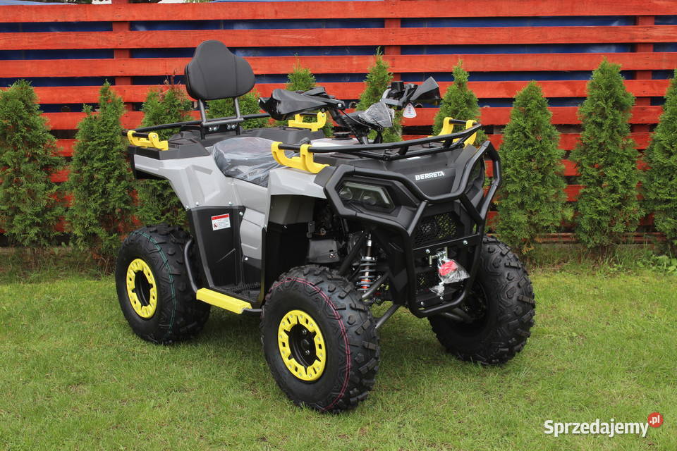 Quad 200 250 cc 4t Hammer Shinerau Bashan KXD zachodniopomorskie Goleniów
