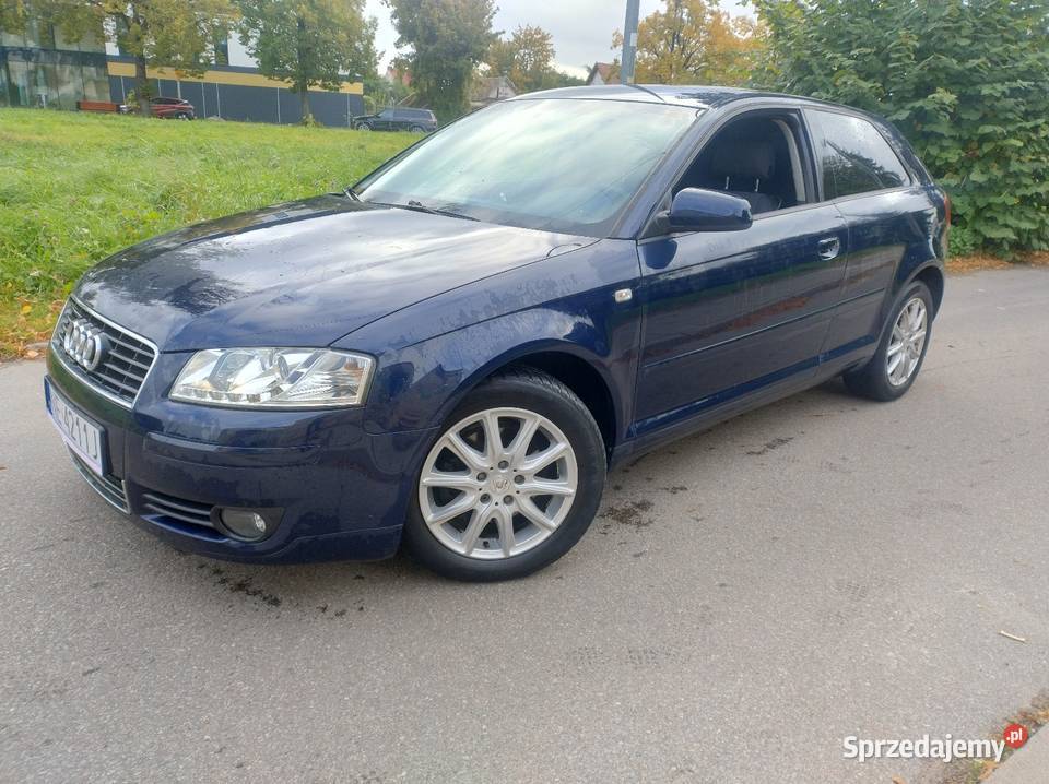 Audi A3 8p 20 TDI 20034r Klima 3 Lata w 1 Wł warmińsko-mazurskie sprzedam
