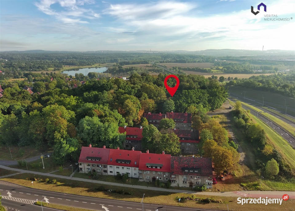 Lokal Bytom 995m2 Lokale użytkowe śląskie