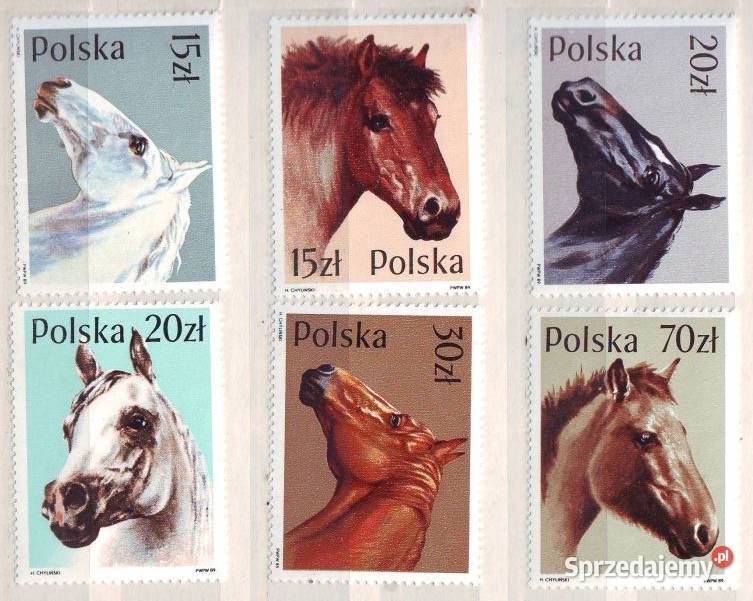 Zn Fi 3042 7 1989 Gliwice