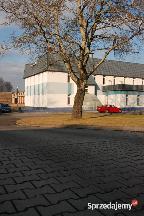 Betonowa kostka TETE Świdnica