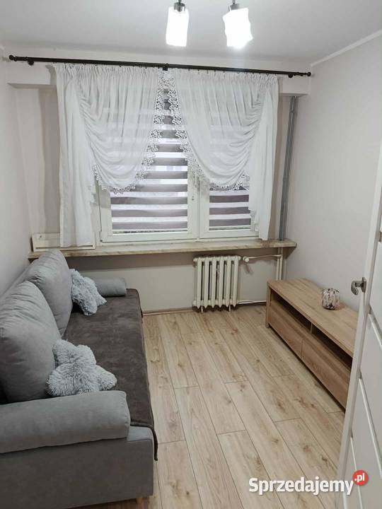 wynajmę mieszkanie 39 mkw na parterze Płock