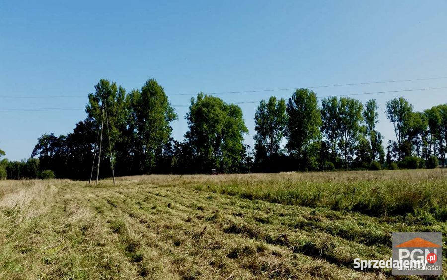 Działka 38300m2 Świerzno