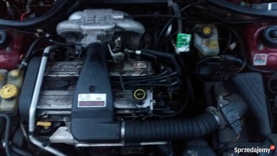 Escort Z niemiec Elbląg sprzedam