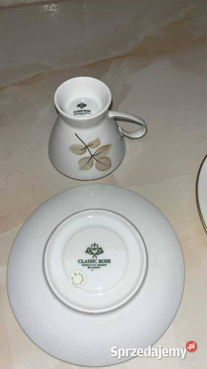 Filiżanka Seria Schattenrose Rosenthal Model Gdańsk