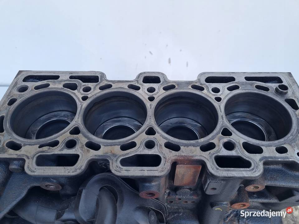 DÓŁ SILNIKA BLOK WAŁ TŁOK TŁOKI Renault Scenic lubelskie Rudka