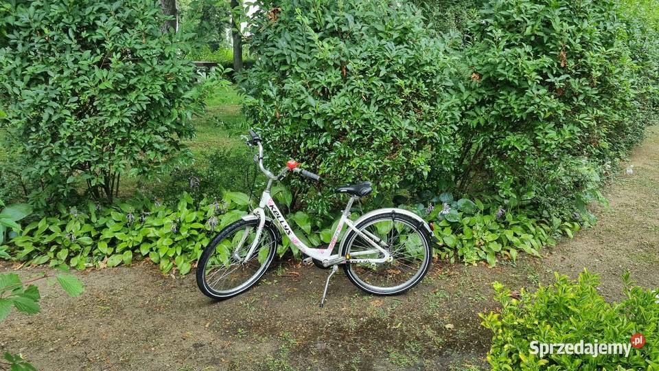 Rower Kellys Maggie 24 Dziecięce sprzedam