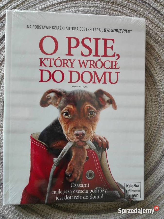 O psie który wrócił do domu książka z filmem na