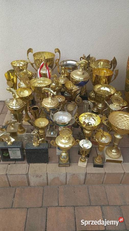 Puchary wędkarskie ryby Śrem