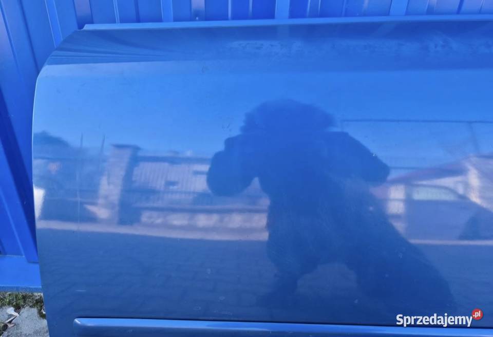 21 DRZWI PRZÓD LEWY PRZEDNIE LEWE AUDI A4 B6 Drzwi Działoszyce