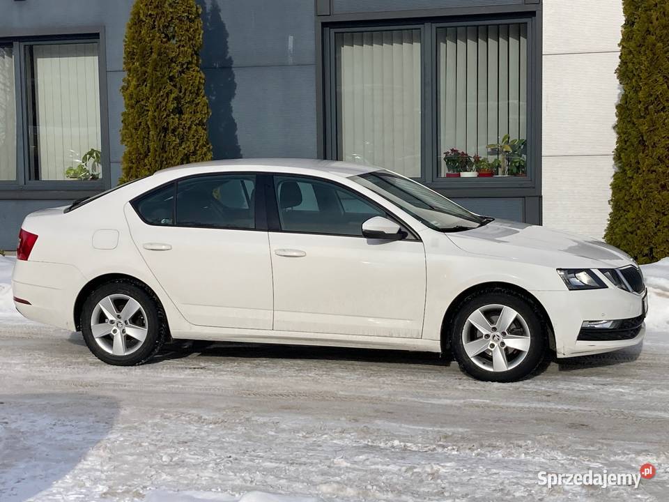 Skoda Octavia Raty Bez BIK KRD i Zaświadczeń pomorskie Gdynia