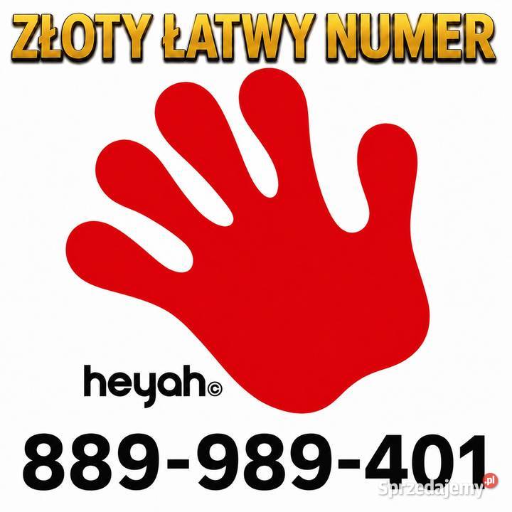Złoty Łatwy Numer 889989401 Chroberz