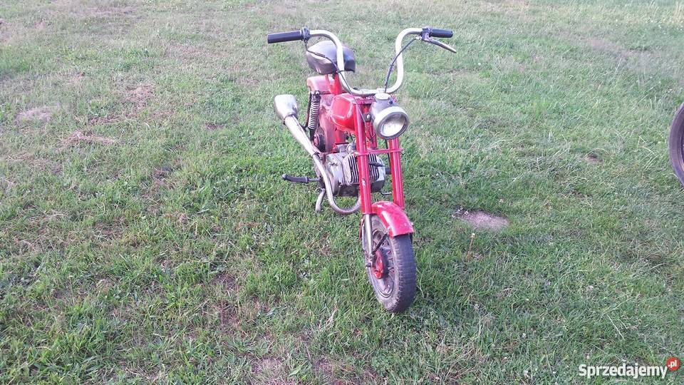 Motorynka romet pony Krowica Lasowa