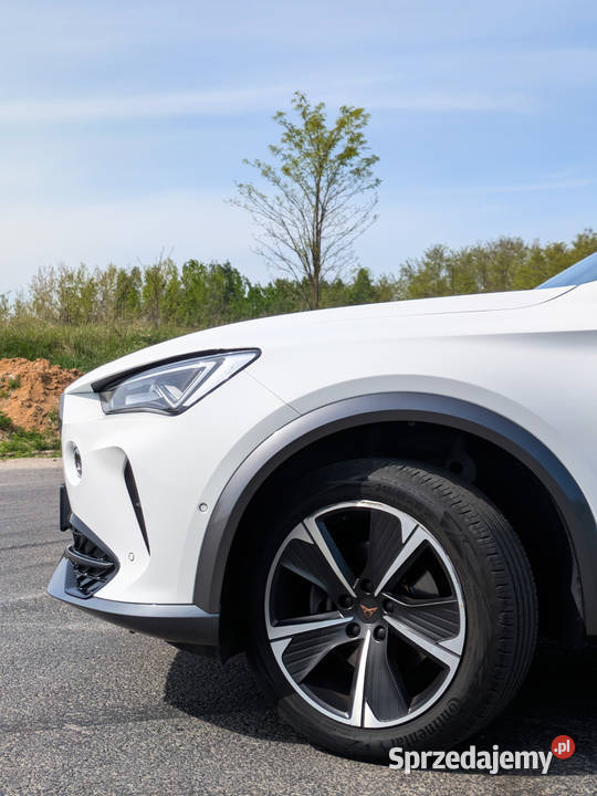 Cupra formentor 15 tsi Formentor wielkopolskie Konin