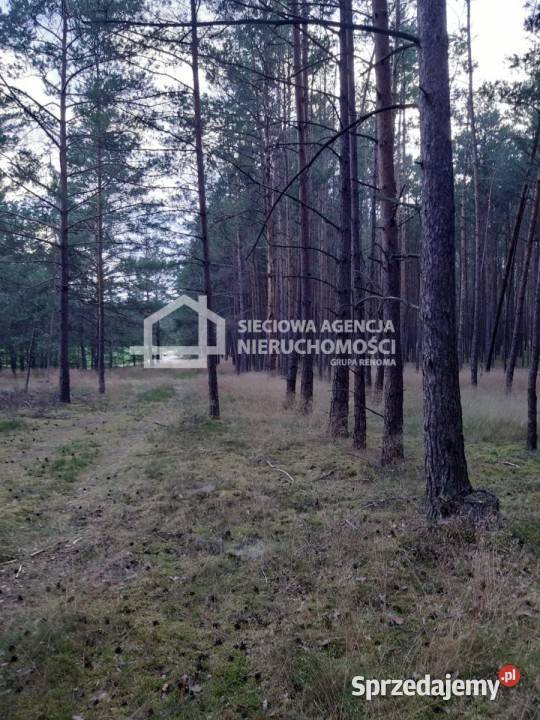 sprzedaży gruntu 63500m2 Wdzydze Tucholskie 0m