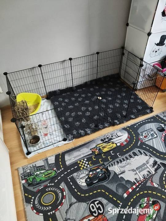 Wybieg gryzoni DIY zbuduj własną przestrzeń Kłodawa