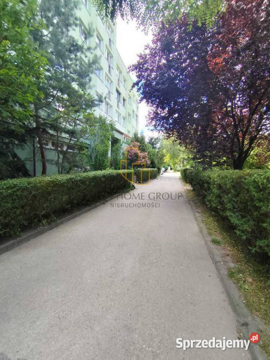 Przytulne 2 pokoje z potencjałem WrocławKuźniki 10544zł/m2 dolnośląskie