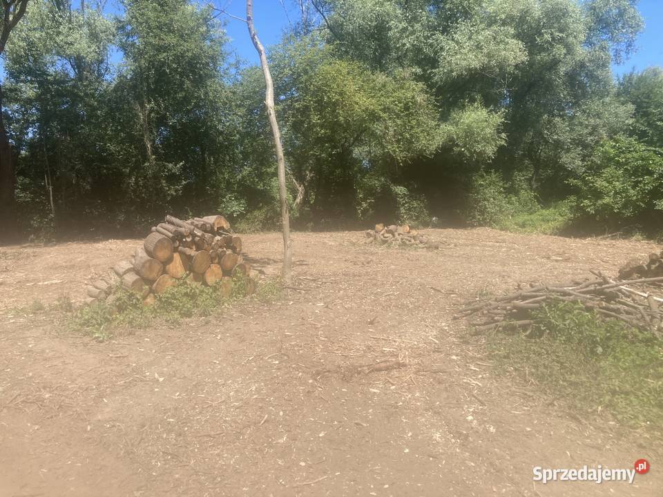 Karczowanie działek pod inwestycje Zagórze