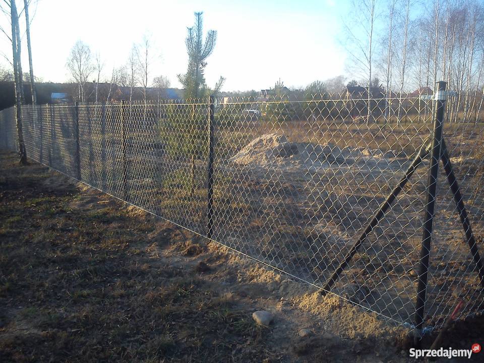 Siatka ogrodzeniowa fi 3 Kondrajec sprzedam