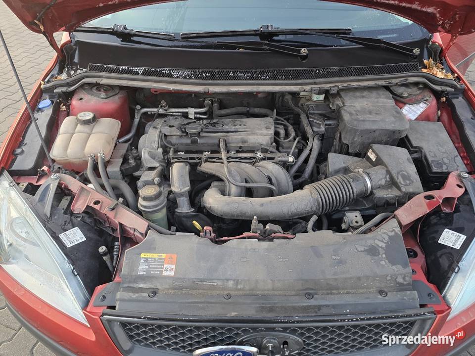 Ekonomiczny Focus I właściciel 14 2006 r Orzech