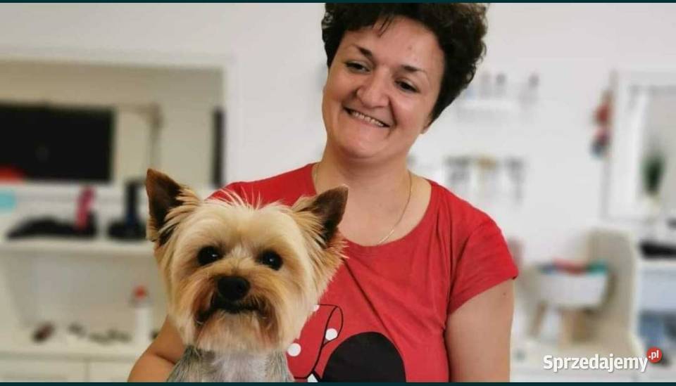 Salon groomerski psi fryzjer kąpiel strzyżenie Huta Mazowszańska