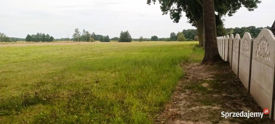 Działka pod 9 domów z WZ Brzezie Trzebnica dolnośląskie
