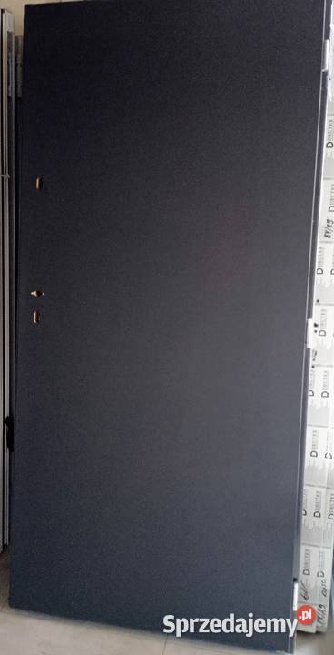 Drzwi z przeszkleniem antracyt 110x220 Łabiszyn