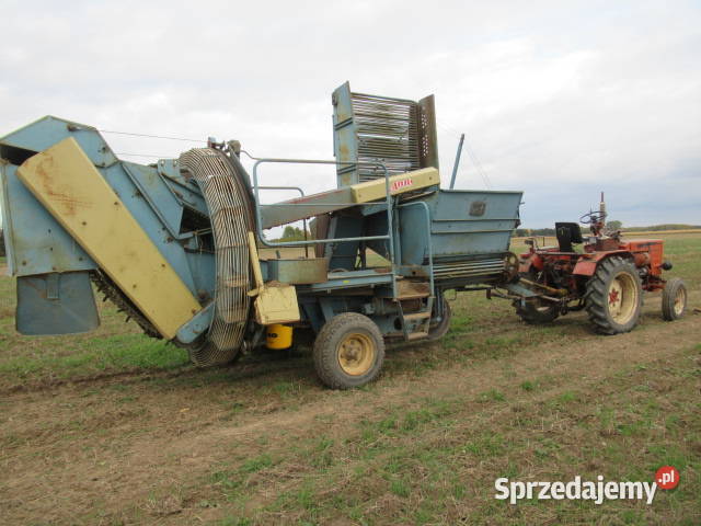Kombajn Anna Z644 Do ziemniaków i warzyw Hajnówka