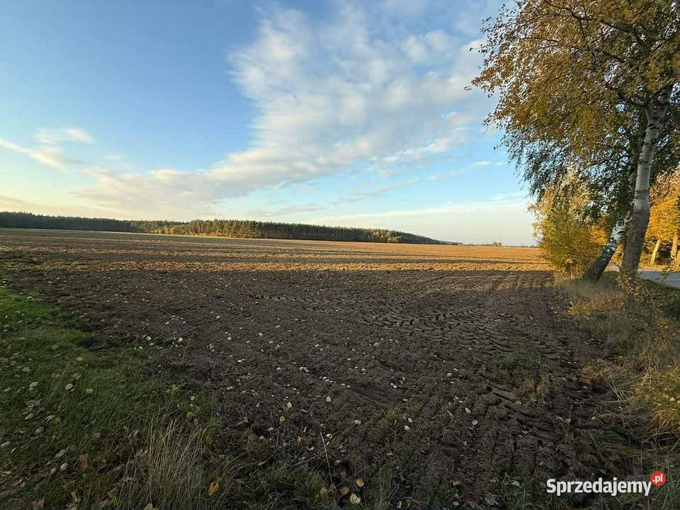 SPRZEDAŻY DŁUGOTERMINOWEJ DZIERŻAWY ŻWIROWNI Kochowo